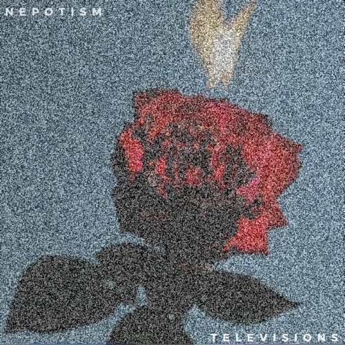 Nepotism - Televisions