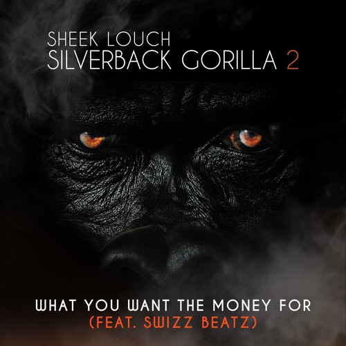 Sheek Louch - What You Want The Money For ft. Swizz Beatz