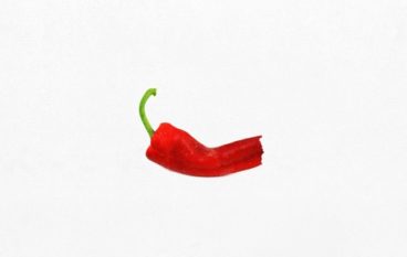 Asher Roth – Oops ft. D.A. (prod. Oren Yoel)