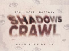 Torii Wolf – Shadows Crawl (Remix) ft. Rapsody