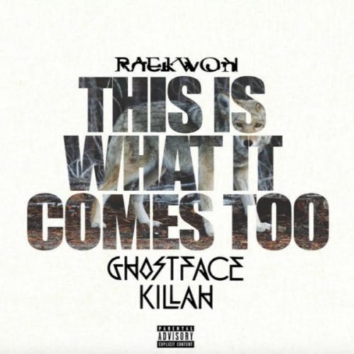 Raekwon - This What It Comes Too ft. Ghostface Killah (RMX)
