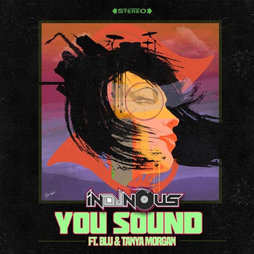 inDJnous You Sound ft. Blu & Tanya Morgan