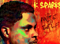 K. Sparks – Questions